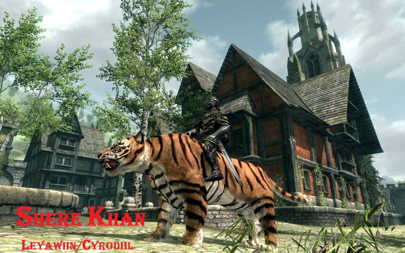 Illustration for article titled Five Skyrim and Fallout Mods That Fix Obvious Cat Problems